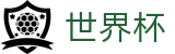 2026世界杯足彩-狂欢不熄热爱不止